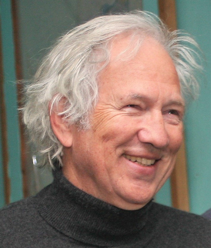 drpetriconsulting logo